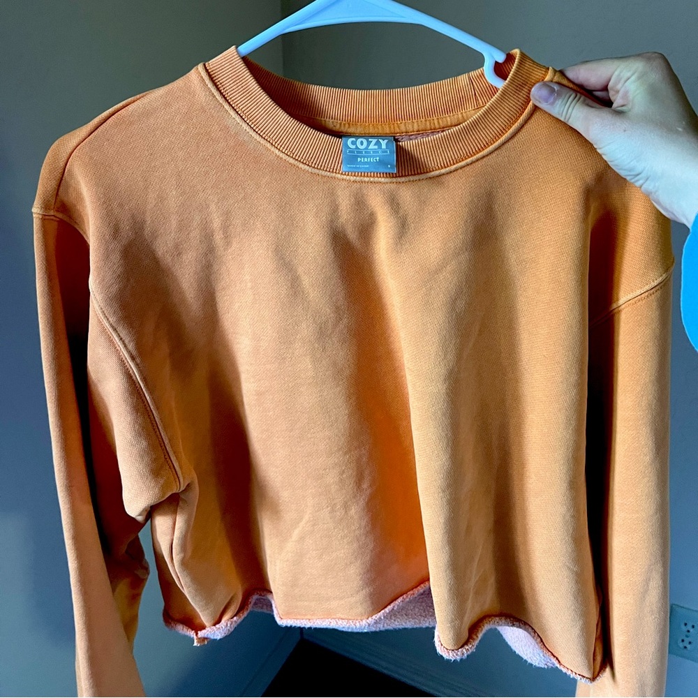 Aritzia cropped orange sweatshirt